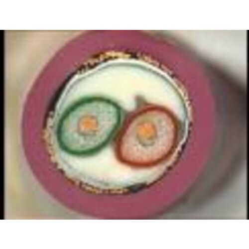 バスラインストリップ用替刃