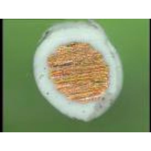 PTTE線ストリップ用替刃