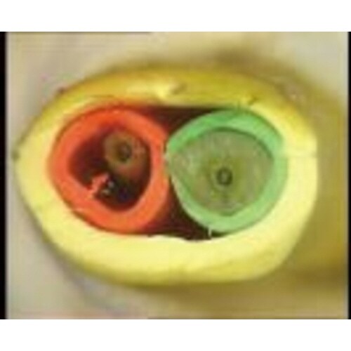 LWLデュプレックスケーブルストリップ゛替刃