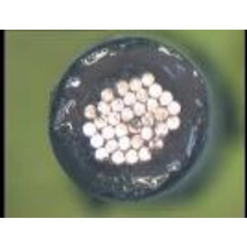 ヨーロッパサイズストリッピングセット