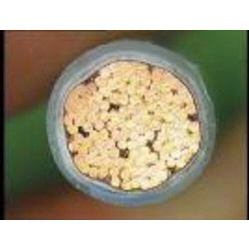 ヨーロッパサイズストリッピングセット