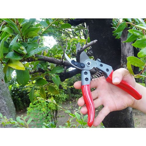 FG 強力剪定鋏 8インチ #192437