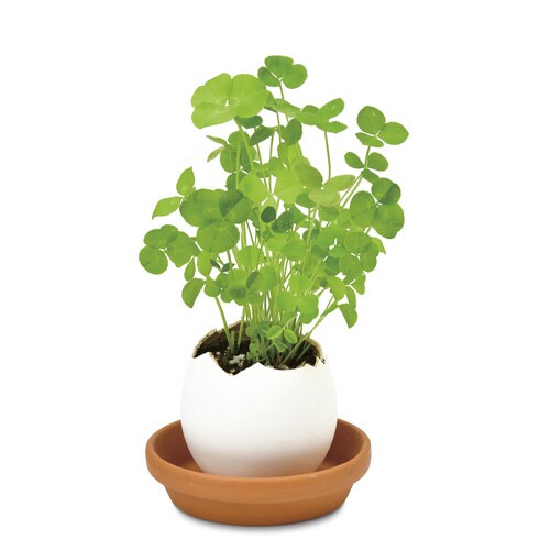 エッグリング クローバー EG−5705