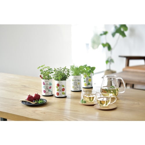 育てるフレーバー レモンバーム GD−90502