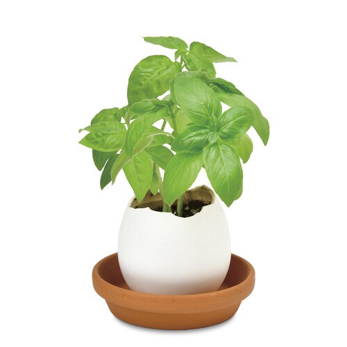 エッグリング バジル EG−5702