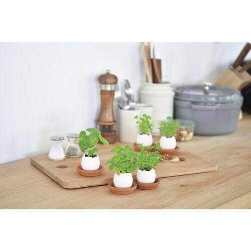 エッグリング バジル EG−5702