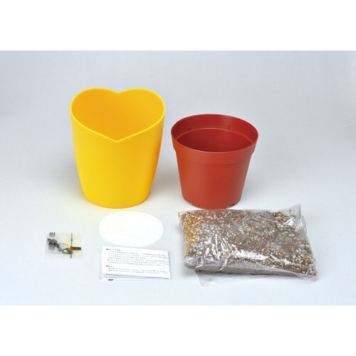 ミニヒマワリ栽培セット GD−753