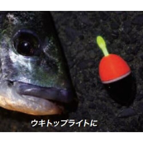 ウミホタル 50 ブルー A03202