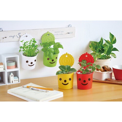 スマイル&スマイル バジル GD−60001