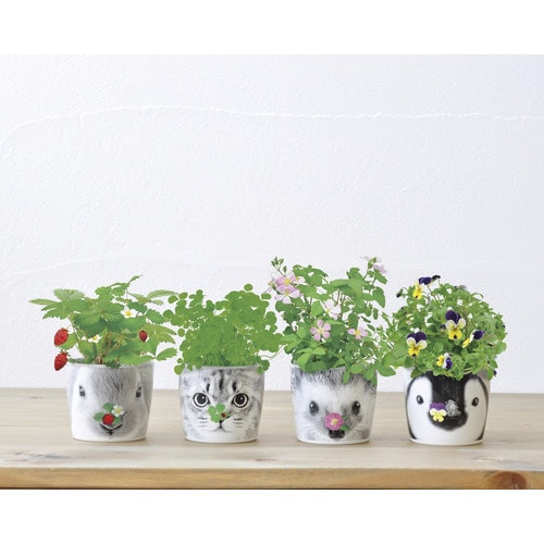 ハナ&アニマルズ ハリネズミ ミニバラ