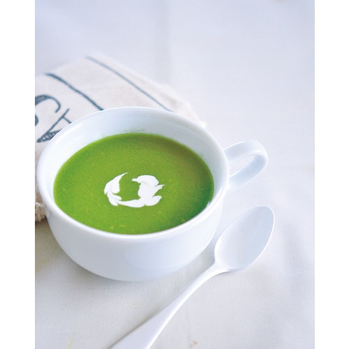 育てるスープ ホウレンソウ GD−79504