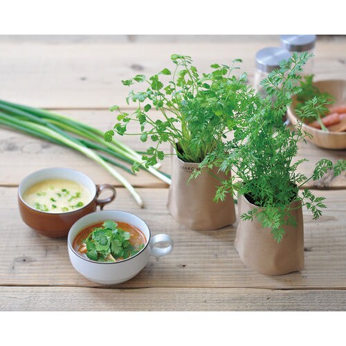 育てるスープ ホウレンソウ GD−79504