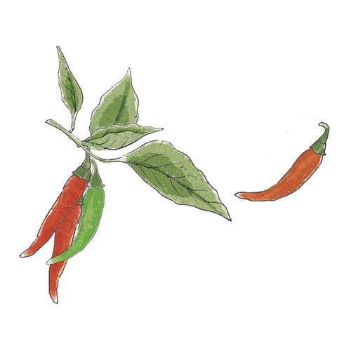 小紋薬味小鉢 とうがらし GD−75802