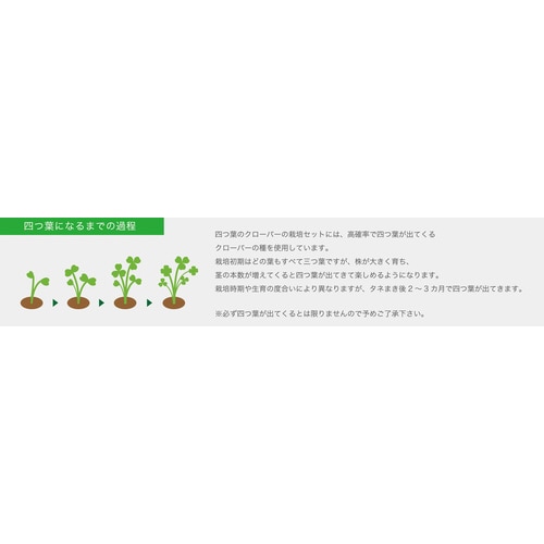 みつかる四葉クローバー栽培セット GD−592