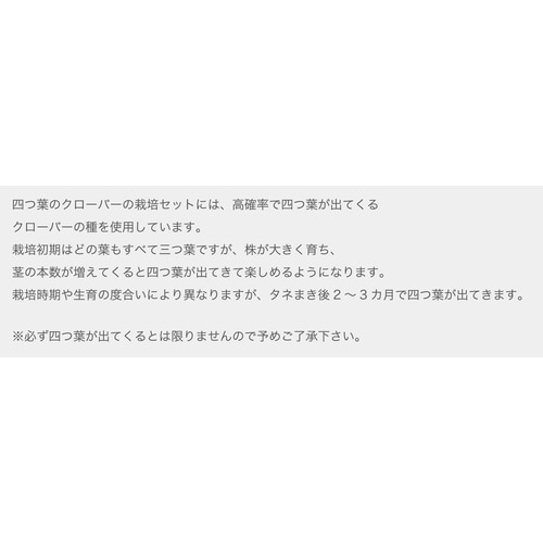 みつかる四葉クローバー栽培セット GD−592
