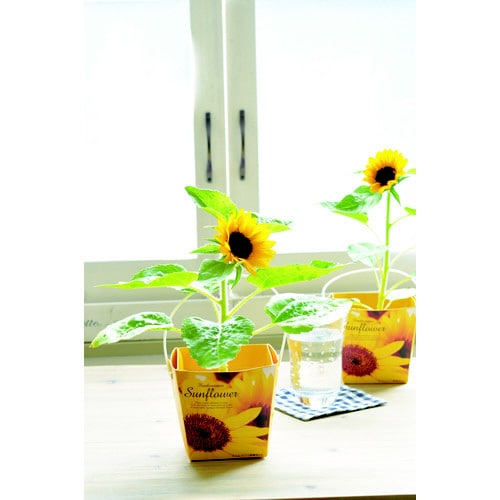 スマイル サンフラワー フローラルコンテナ