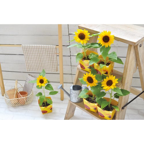 スマイル サンフラワー フローラルコンテナ