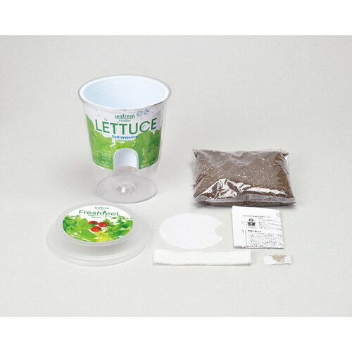 フレッシュフィール サラダホウレンソウ