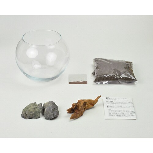 育てる水草(L) GD−813