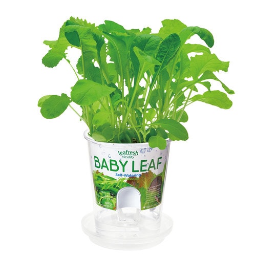 フレッシュフィール ベビーリーフミックス