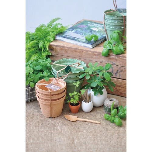 エッグプランター(S) T−34