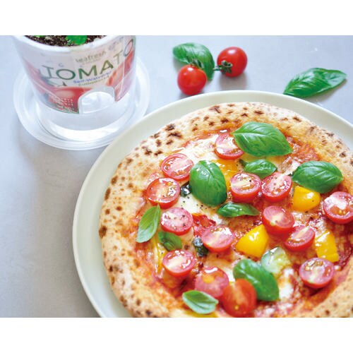 フレッシュフィール ミニトマト