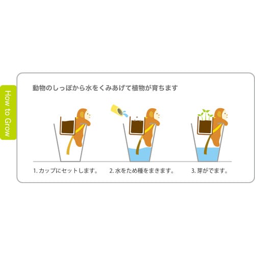 しっぽん ネコ ストロベリー GD−66002