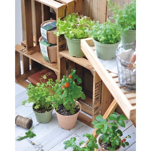 エコット S バジル GD−41002