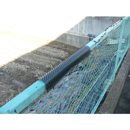 小動物痛がーる ブラック