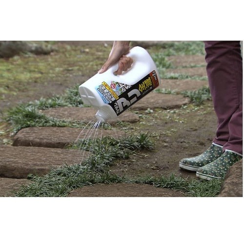 カダン アリ全滅シャワー液 2L