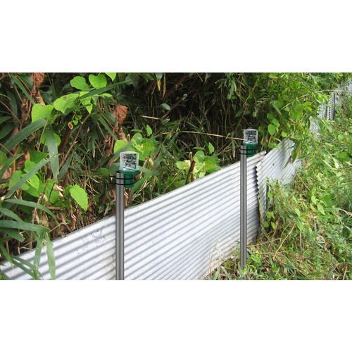 アニマルパンチ