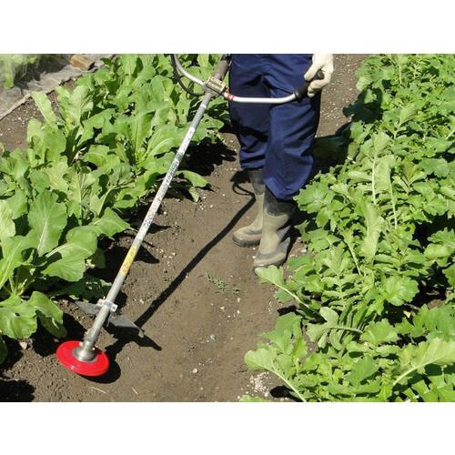 畑のシェーバー