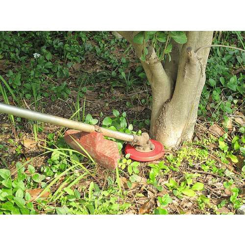 畑のシェーバー