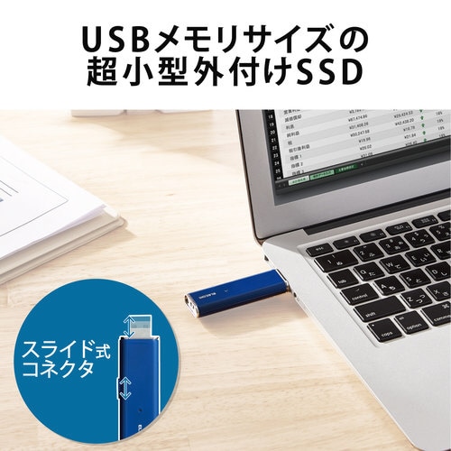 SSD 250GB 外付け ポータブル ブルー