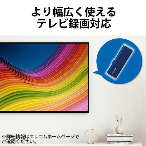 SSD 250GB 外付け ポータブル ブルー