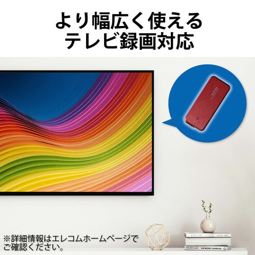 SSD 外付け ポータブル 1TB レッド