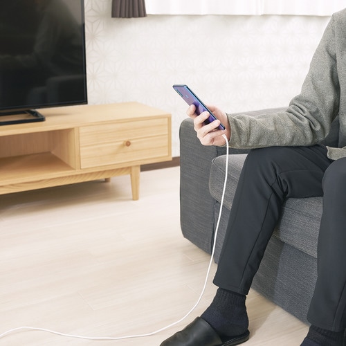 タイプCケーブル A−C 2m ホワイト シリコン