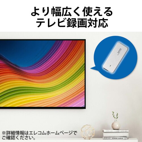 SSD 外付け ポータブル 1TB ホワイト