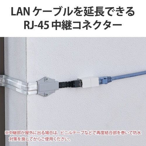 LANケーブル延長コネクタ CAT6A準拠 2個