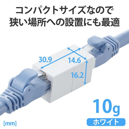 LANケーブル延長コネクタ CAT6A準拠 2個