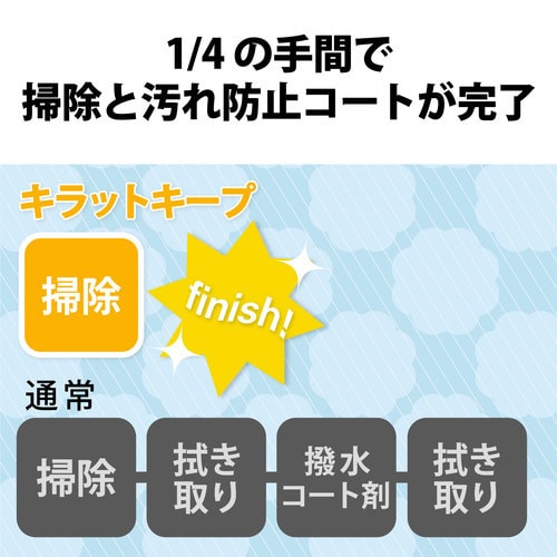 液体スプレー 300ml フッ素入り 除菌