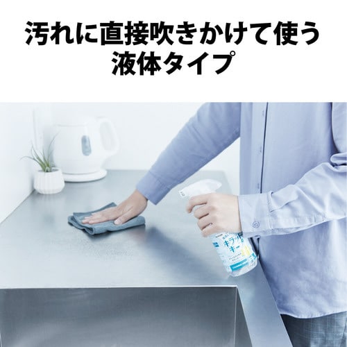 液体スプレー 300ml フッ素入り 除菌