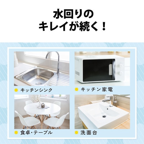 液体スプレー 250ml 詰め替え フッ素入り