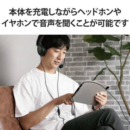 変換アダプタ C−4極ミニプラグ PD 直挿し