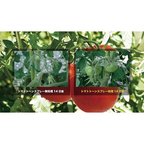 農薬 日産トマトトーンスプレー 420ml