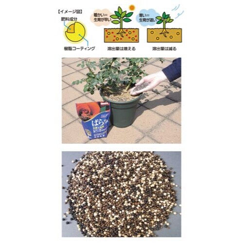 マイローズばらの肥料 700g