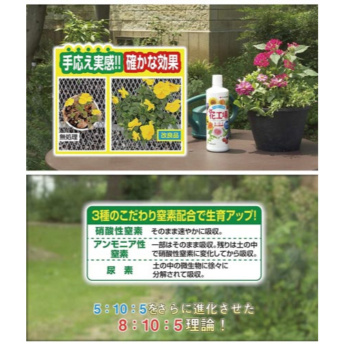 ԍHꌴt