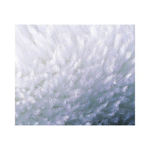 nC|[