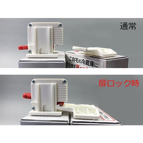 ロックヤモリ RY−001