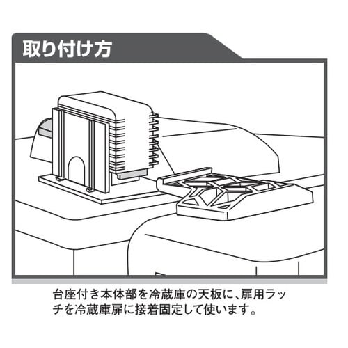 ロックヤモリ RY−001